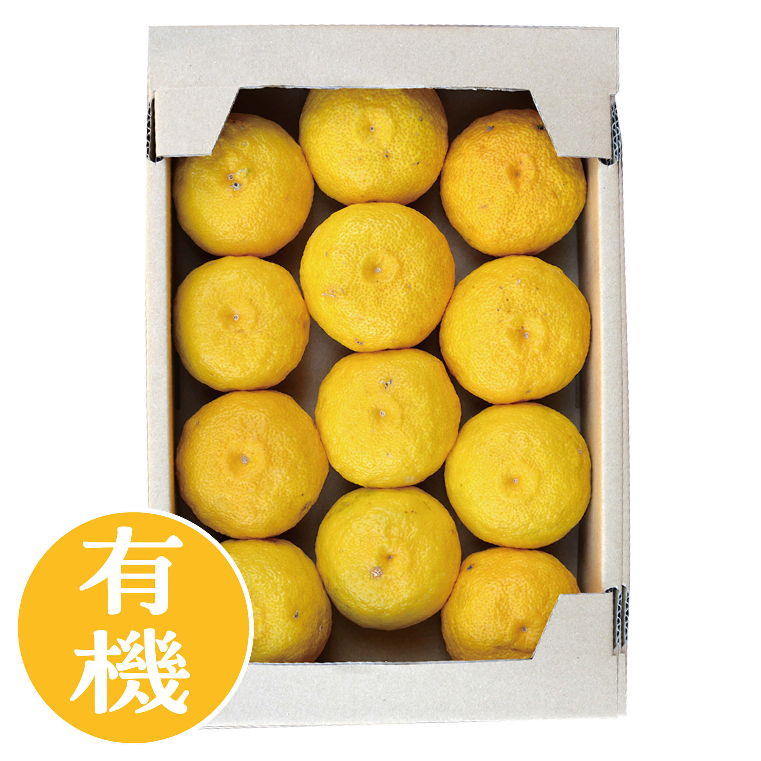 【2025年ゆず玉売り切れました】有機黄ゆず　1.5kg(9玉から16玉)